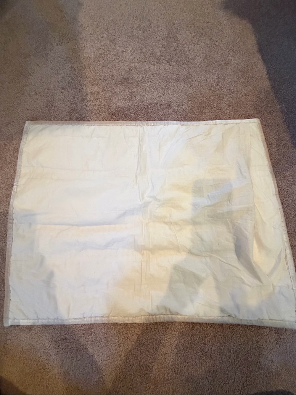 Anthropologie lustered velvet Alastair pillow cover sham cream pearl beige - Picture 9 of 10